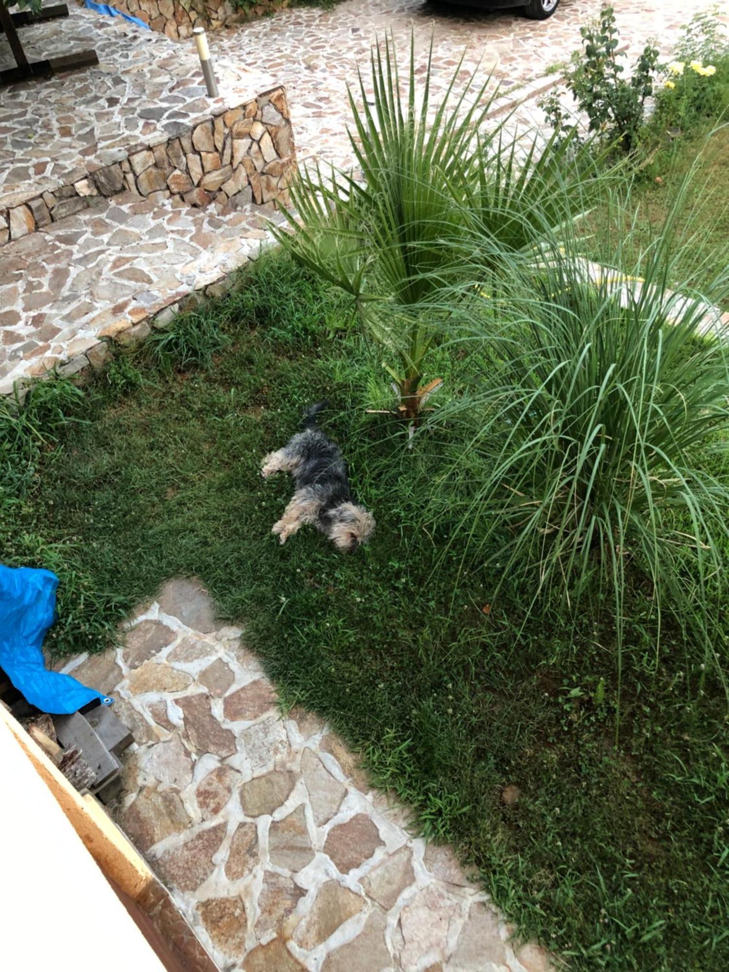 Sunshine Villa Dzhigurovo Sandanski Ngoại thất bức ảnh