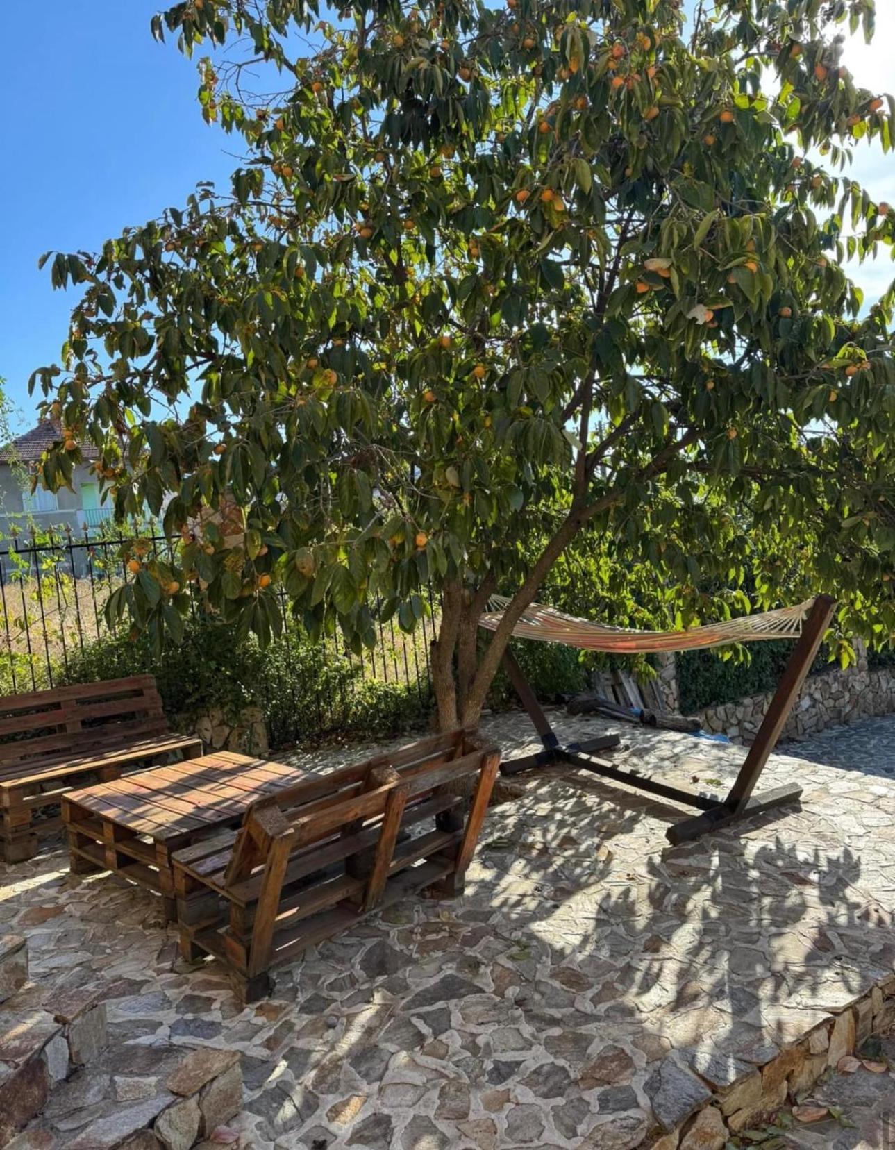 Sunshine Villa Dzhigurovo Sandanski Ngoại thất bức ảnh